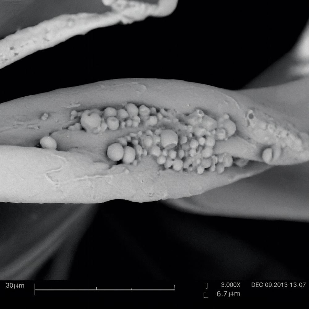 Immagine microscopica di materiale. Molte piccole strutture rotonde. Dettagli non riconoscibili.