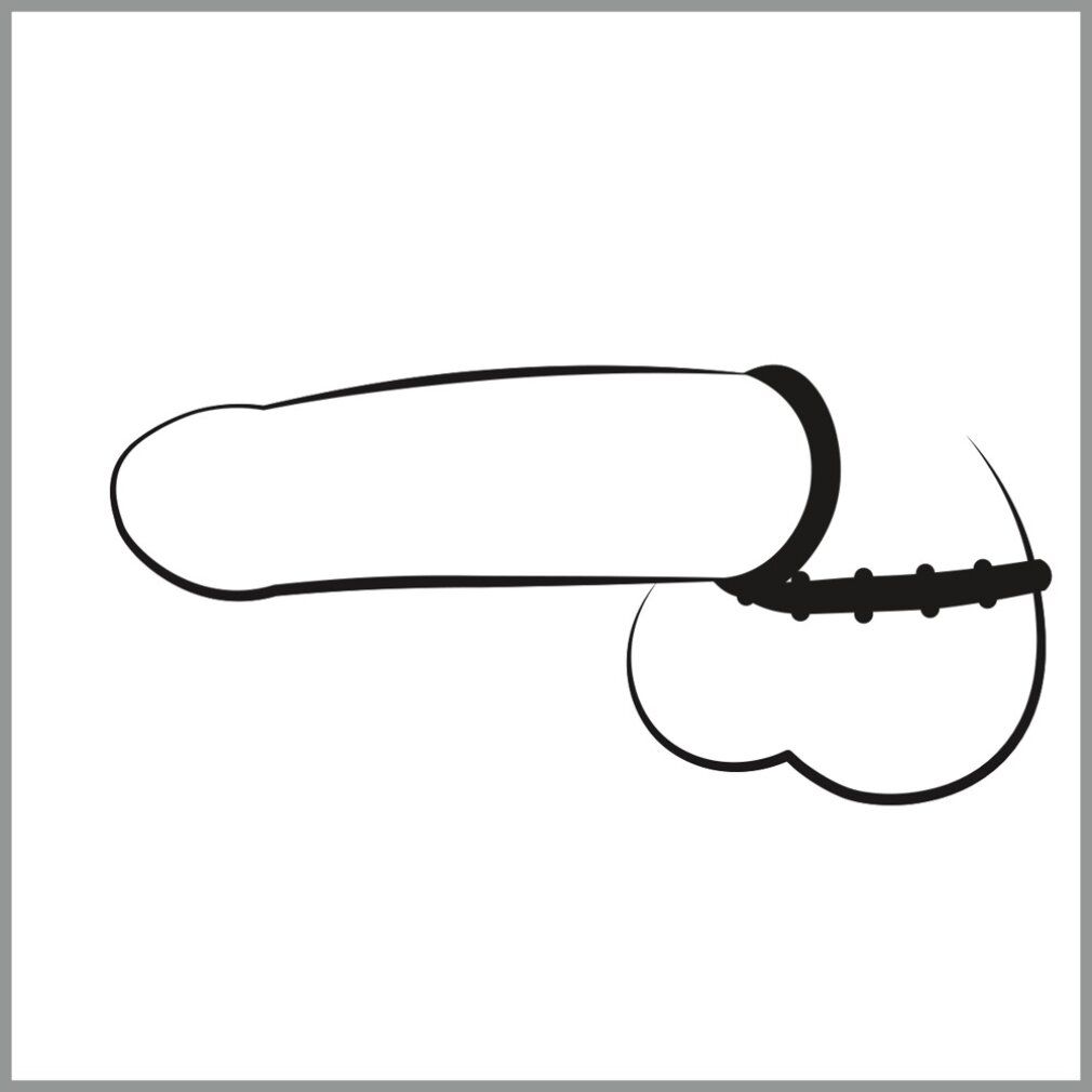 Disegno a tratto nero e bianco di un pene con anello fallico e anello scrotale.