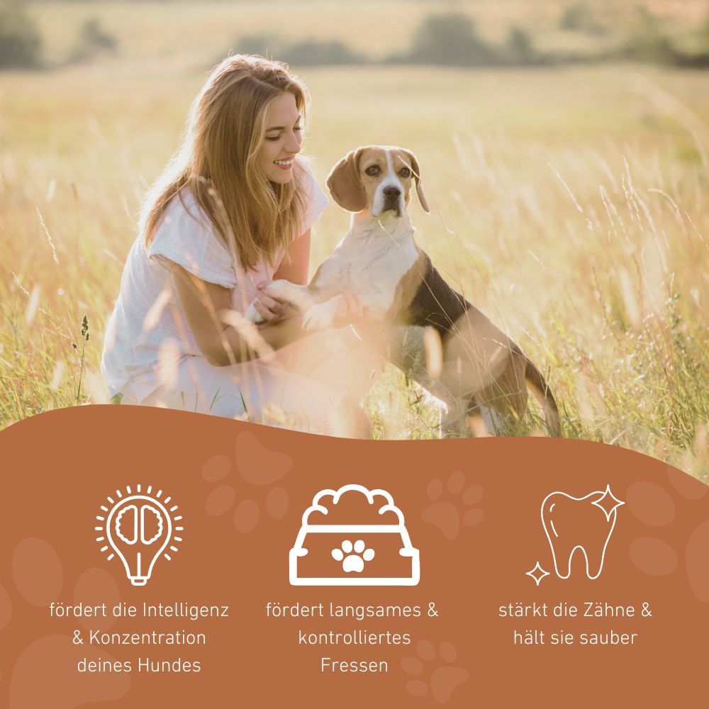 Una donna seduta con un cane nell'erba. Sotto, icone che promuovono l'intelligenza, l'alimentazione e la cura dei denti.