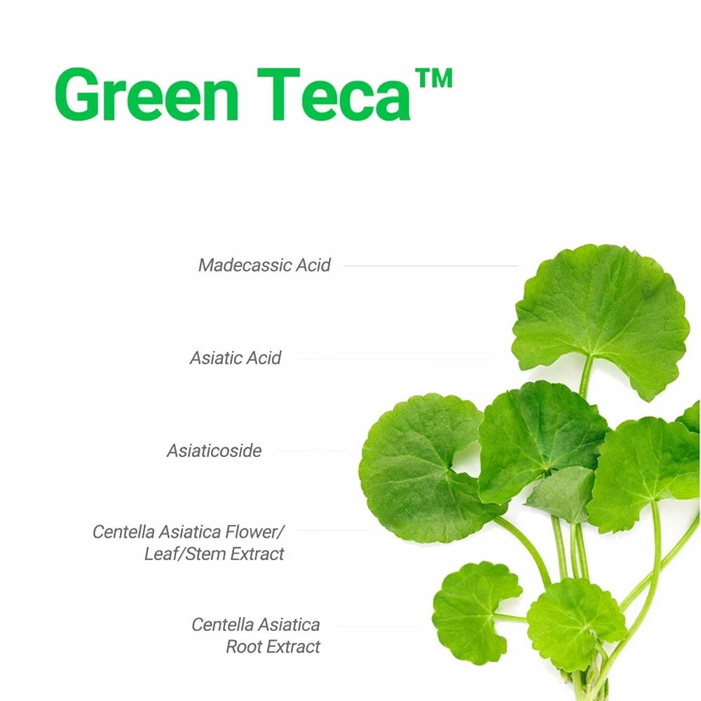 Foglie verdi con scritte: Madecassic Acid, Asiatic Acid, Asiaticoside, Centella Asiatica Flower/Leaf/Stem Extract, Centella Asiatica Root Extract.