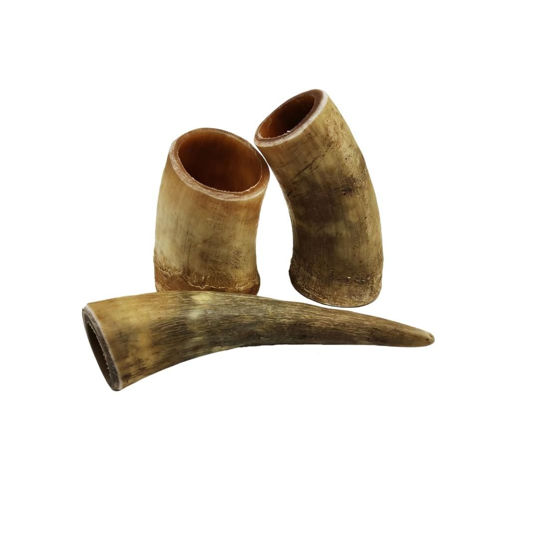 Tre pezzi di corno di diverse forme. Colore chiaro, beige. Estremità aperte. Su sfondo chiaro.