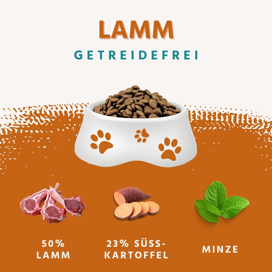 Cibo per cani in ciotola. Ingredienti: agnello, patata dolce, menta. Testo: agnello, senza cereali, 50% agnello, 23% patata dolce, menta.