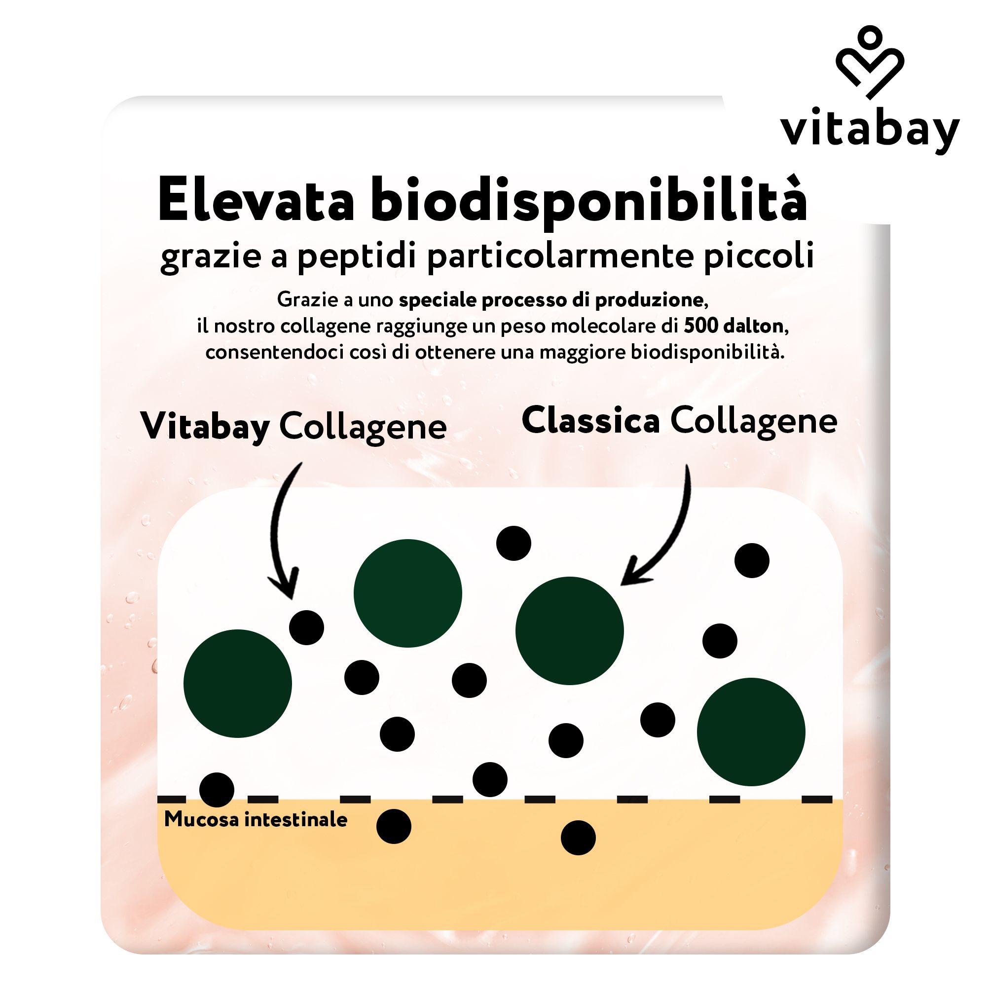 Polvere Vitabay Collagen: sacchetto 1000g. Dose giornaliera consigliata: 2 cucchiai (20g).