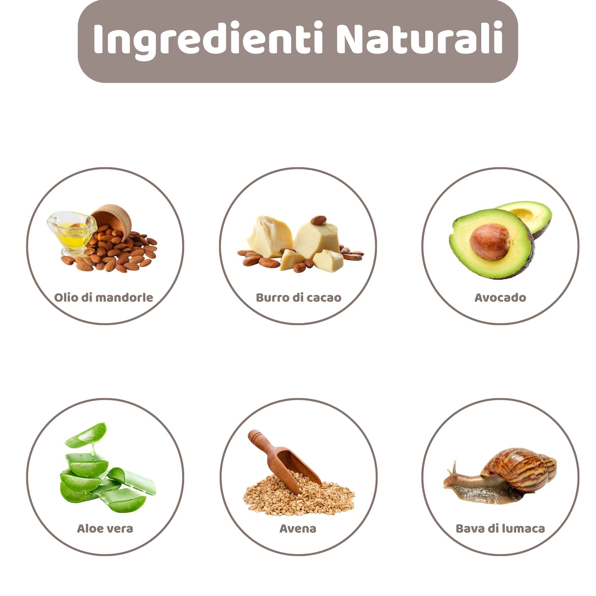 Illustrazioni circolari degli ingredienti: olio di mandorle, burro di cacao, avocado, aloe vera, avena, bava di lumaca.