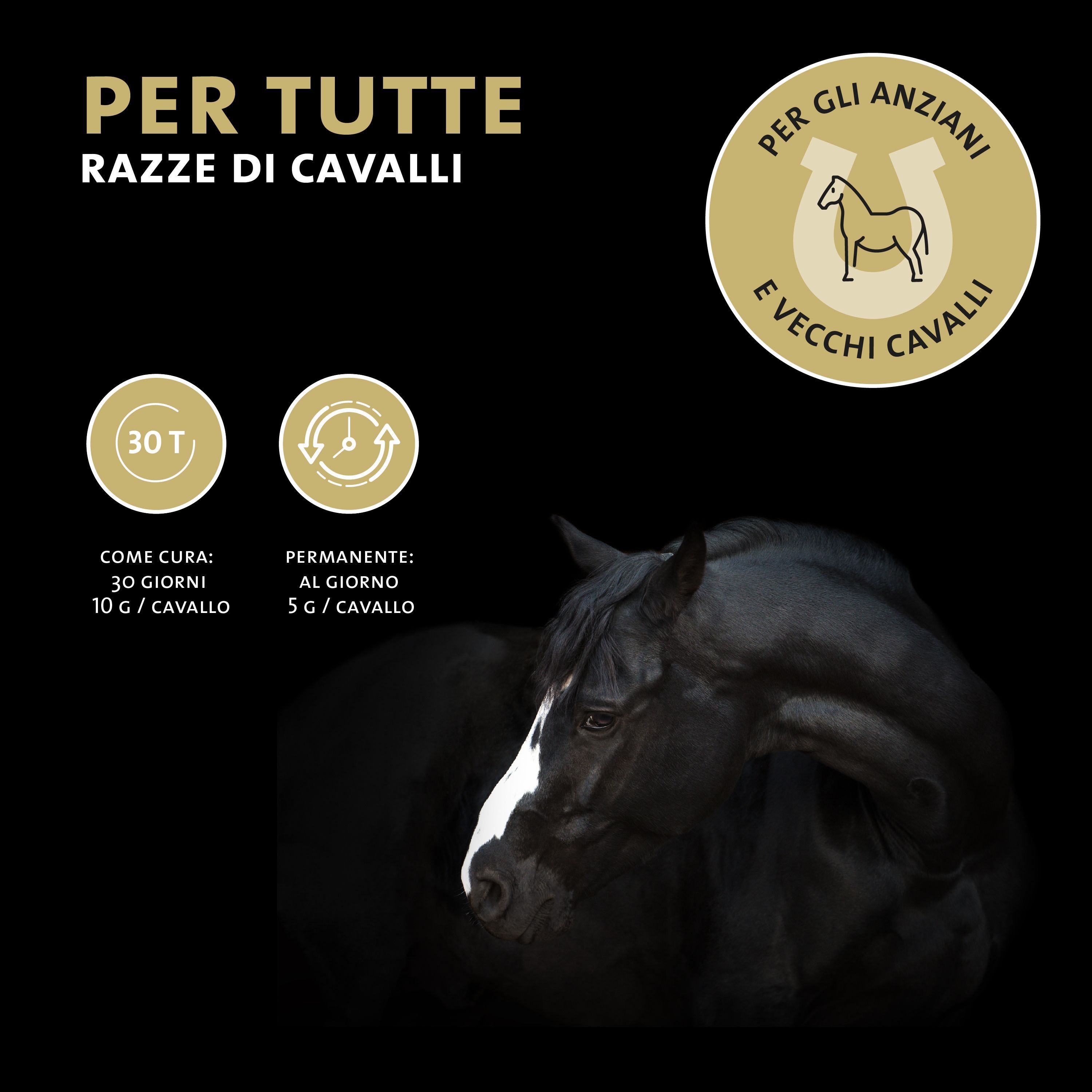 Immagine di cavallo con icone per anziani e cavalli anziani, informazioni sul dosaggio.