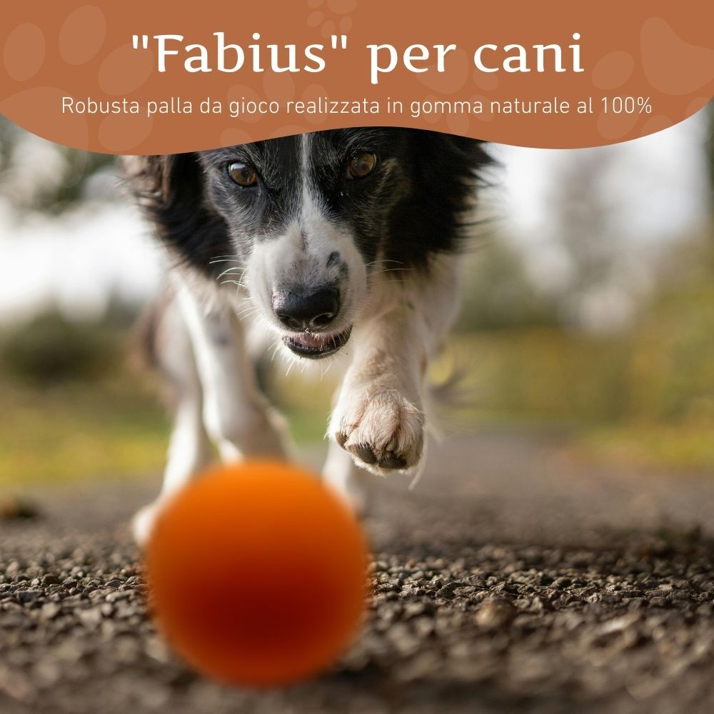 Cane che corre su un sentiero verso una palla arancione. Testo: "Fabius" per cani. Robusta palla da gioco in gomma naturale al 100%.
