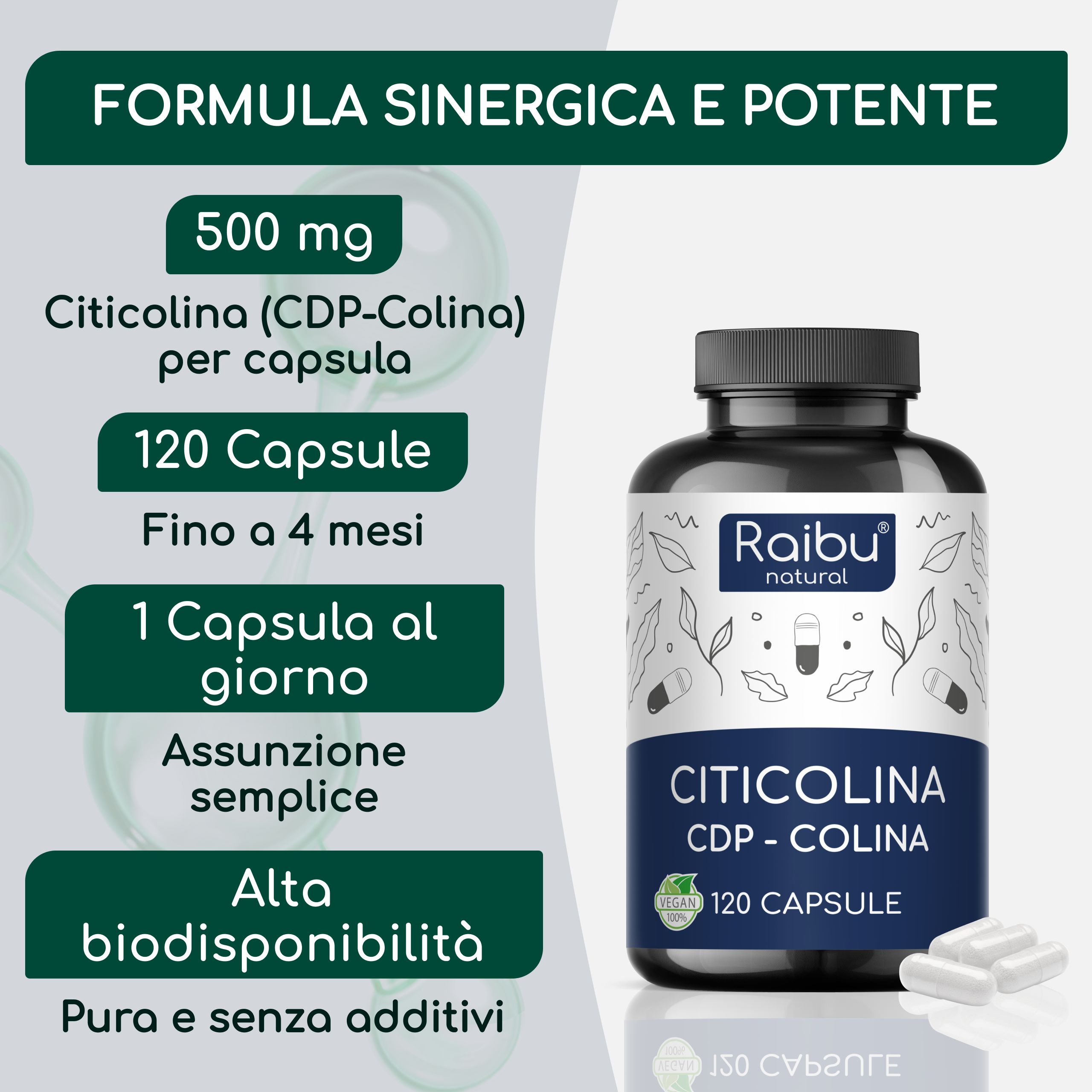Citicolina CDP-Colina Pura 500 mg per Capsula - Memoria, Concentrazione e Funzione Cellulare - RAIBU