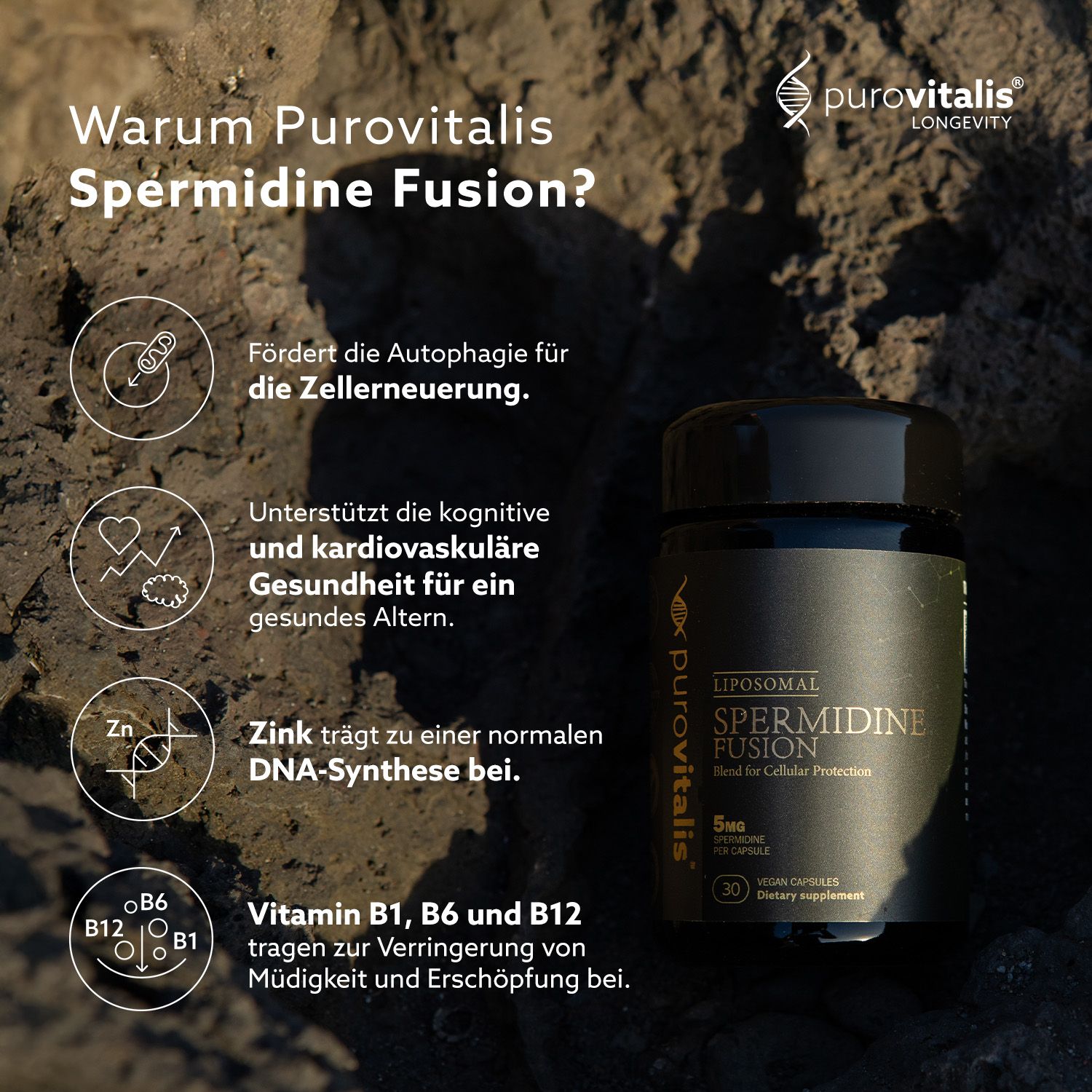 Flacone 'Liposomales Spermidin Fusion' su pietre. Vantaggi: autofagia, salute cognitiva, zinco, vitamine B1, B6, B12.