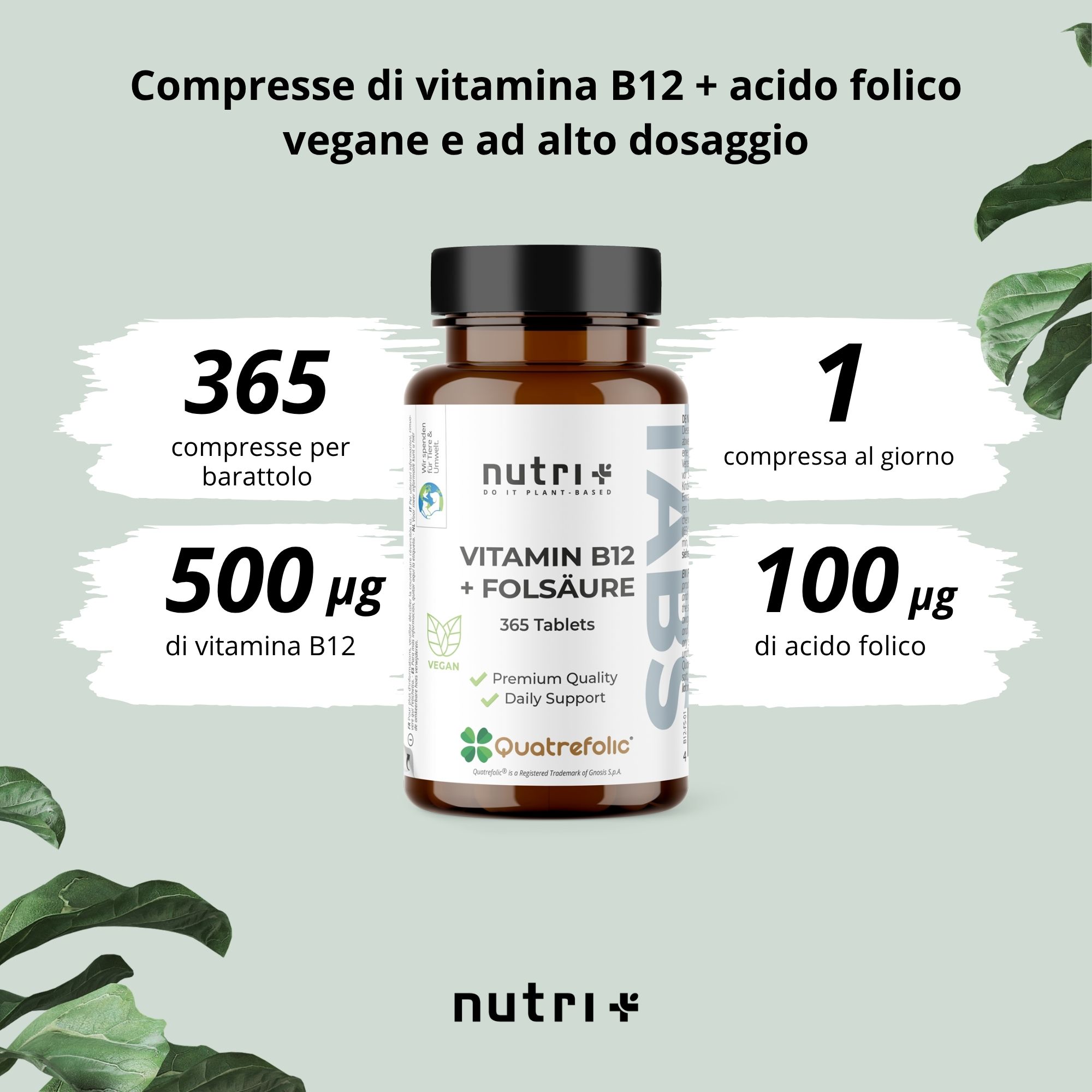 Immagine prodotto: Flacone marrone "nutri+" Vitamina B12 + Acido folico. 365 compresse. 500 µg Vitamina B12, 100 µg Acido folico.