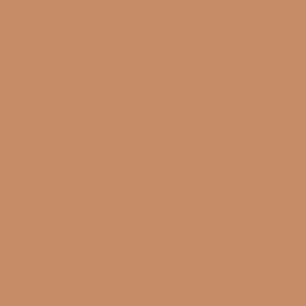 Sfondo beige unito. Nessun altro elemento.