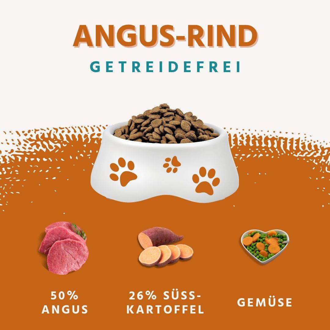 Cibo per cani in ciotola. Testo: Angus-Rind, senza cereali. Ingredienti: 50% Angus, 26% patata dolce, verdure.