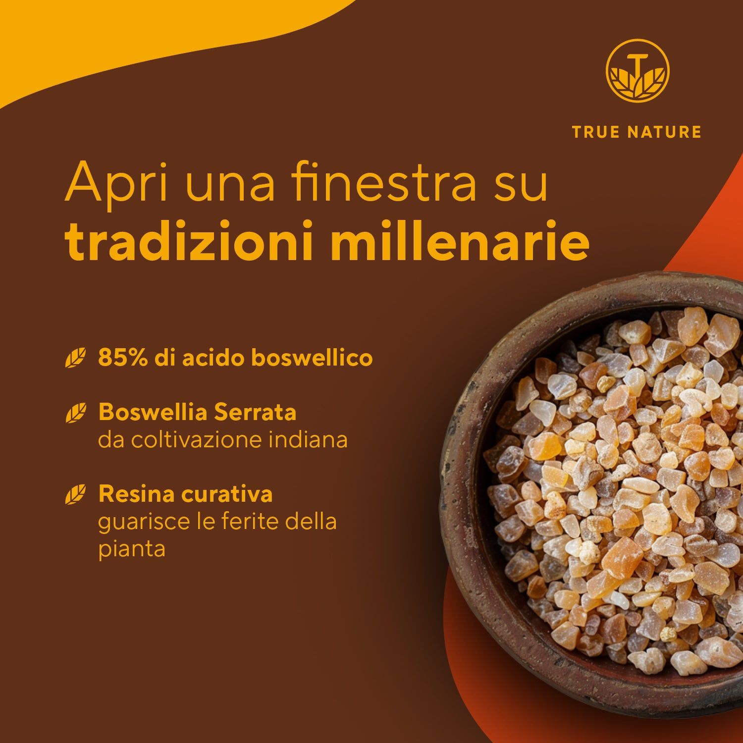 Ciotola marrone con resina. Testo: 85% acido boswellico, Boswellia Serrata da coltivazione indiana, resina curativa.