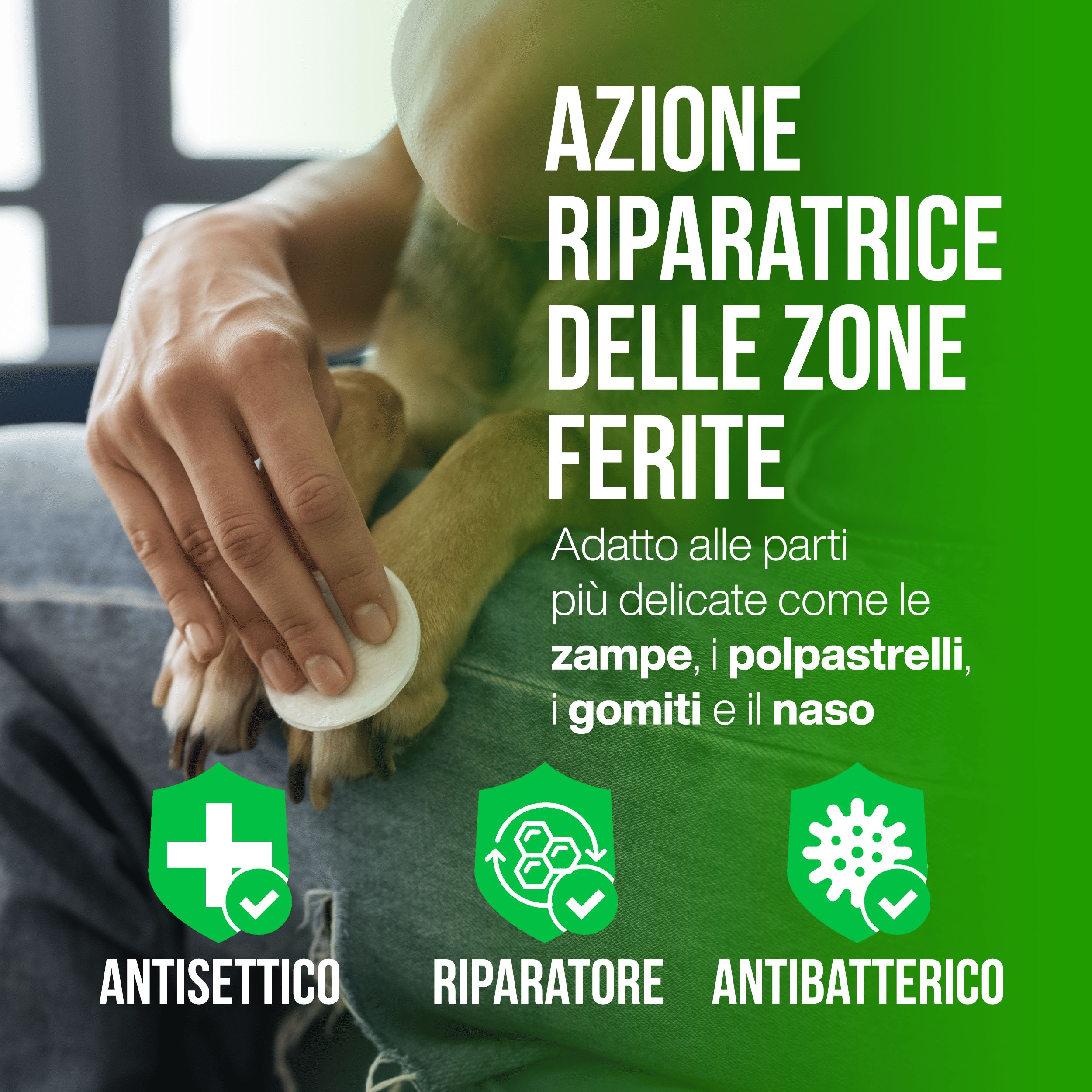 Persona che tiene la zampa di un cane. Testo: AZIONE RIPARATRICE DELLE ZONE FERITE. Antisettico, riparatore, antibatterico.
