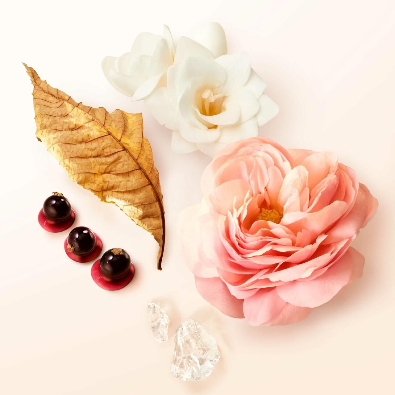 Fiori, foglie e bacche su sfondo chiaro. Rosa, gardenia, foglia e bacche.