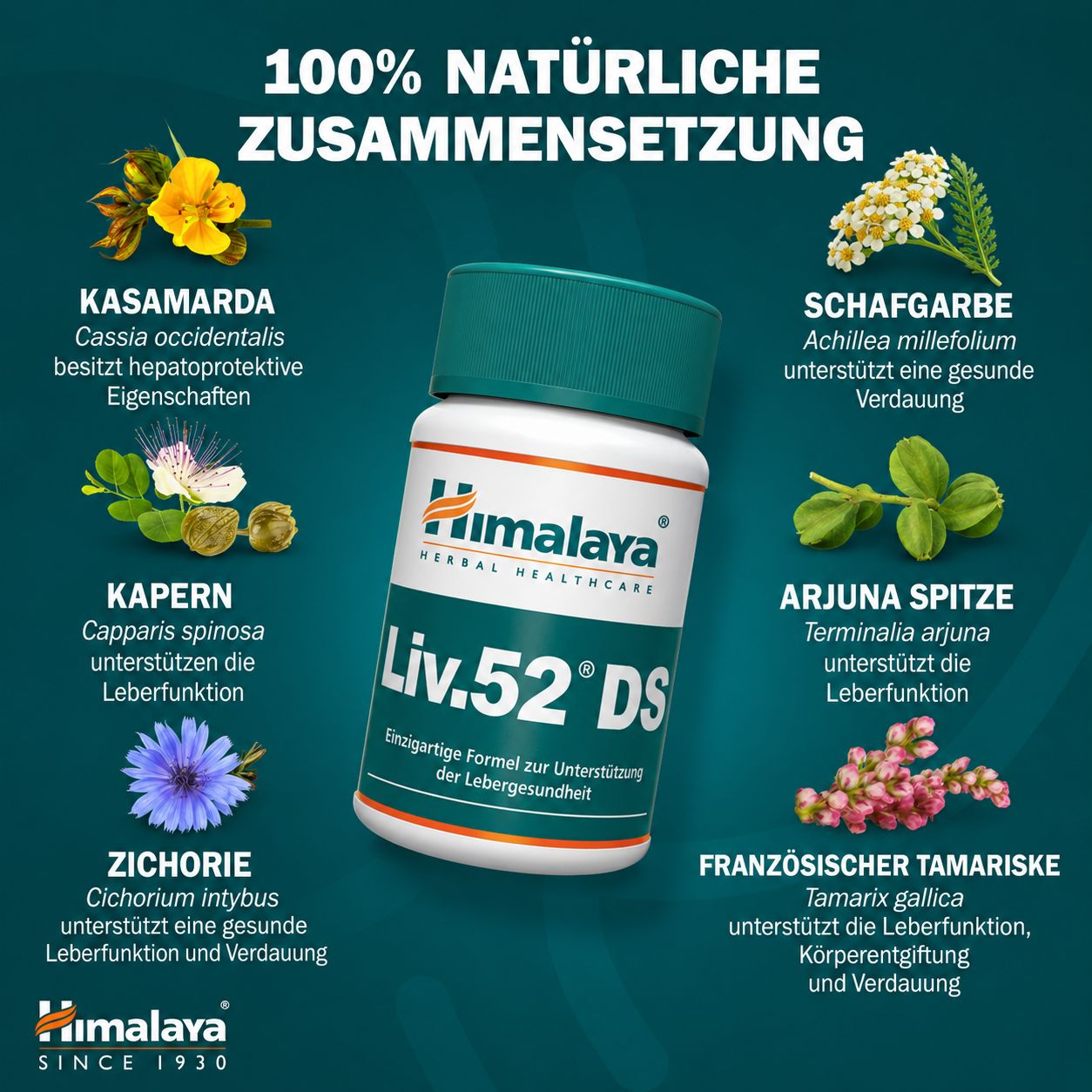 Flacone di compresse Himalaya Liv.52 DS con varie erbe ayurvediche.