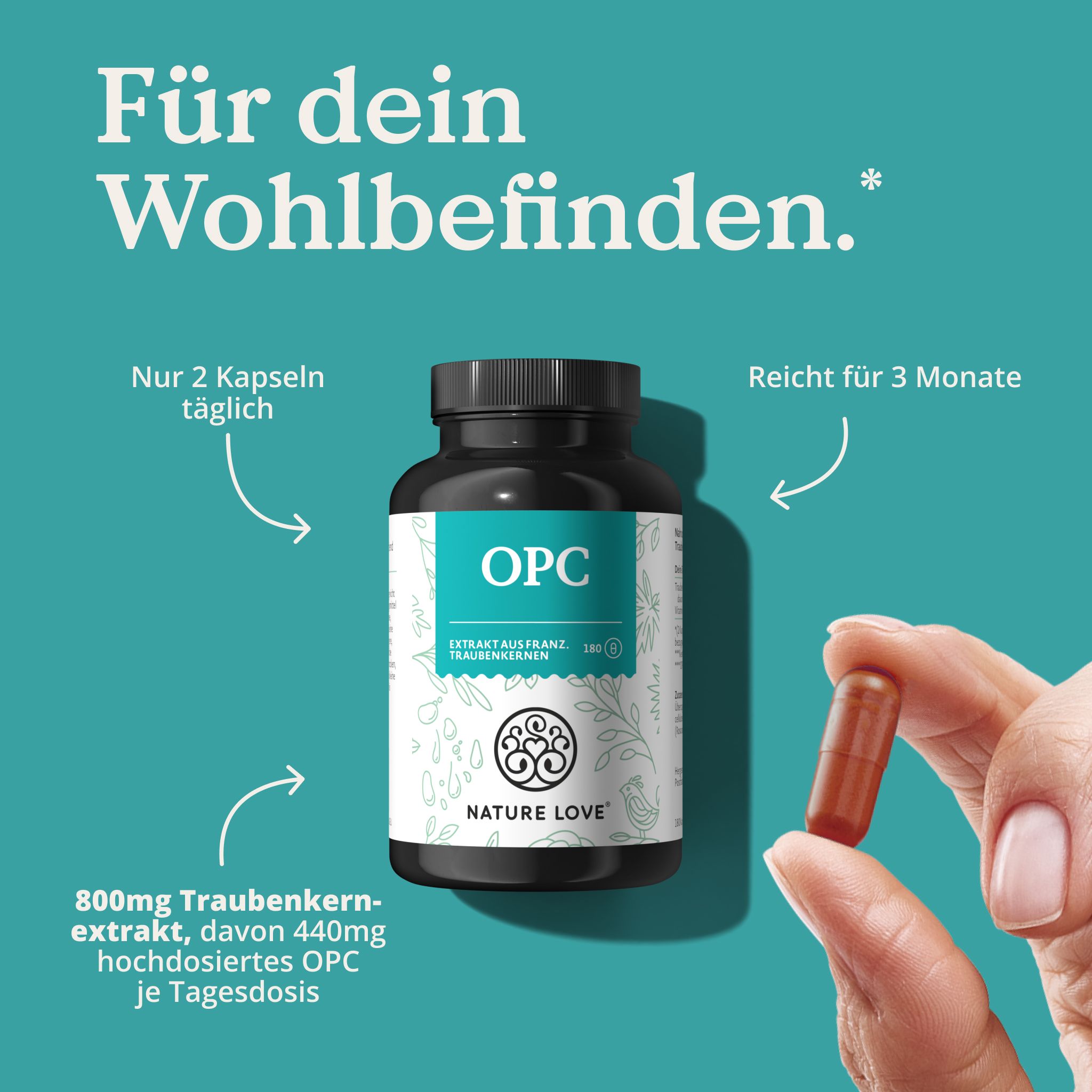 Flacone del prodotto con capsula OPC. Scritta OPC, estratto di semi d'uva francesi. 180 capsule. Mano che tiene una capsula.