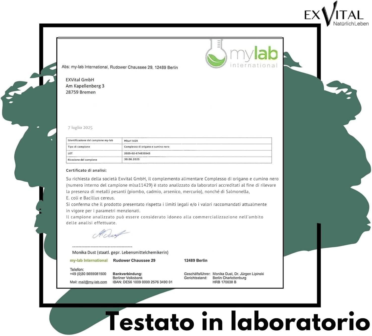 Rapporto di laboratorio. Testo: mylab International, analisi del complesso Origano & Cumino nero. Testato per metalli pesanti, E. coli.