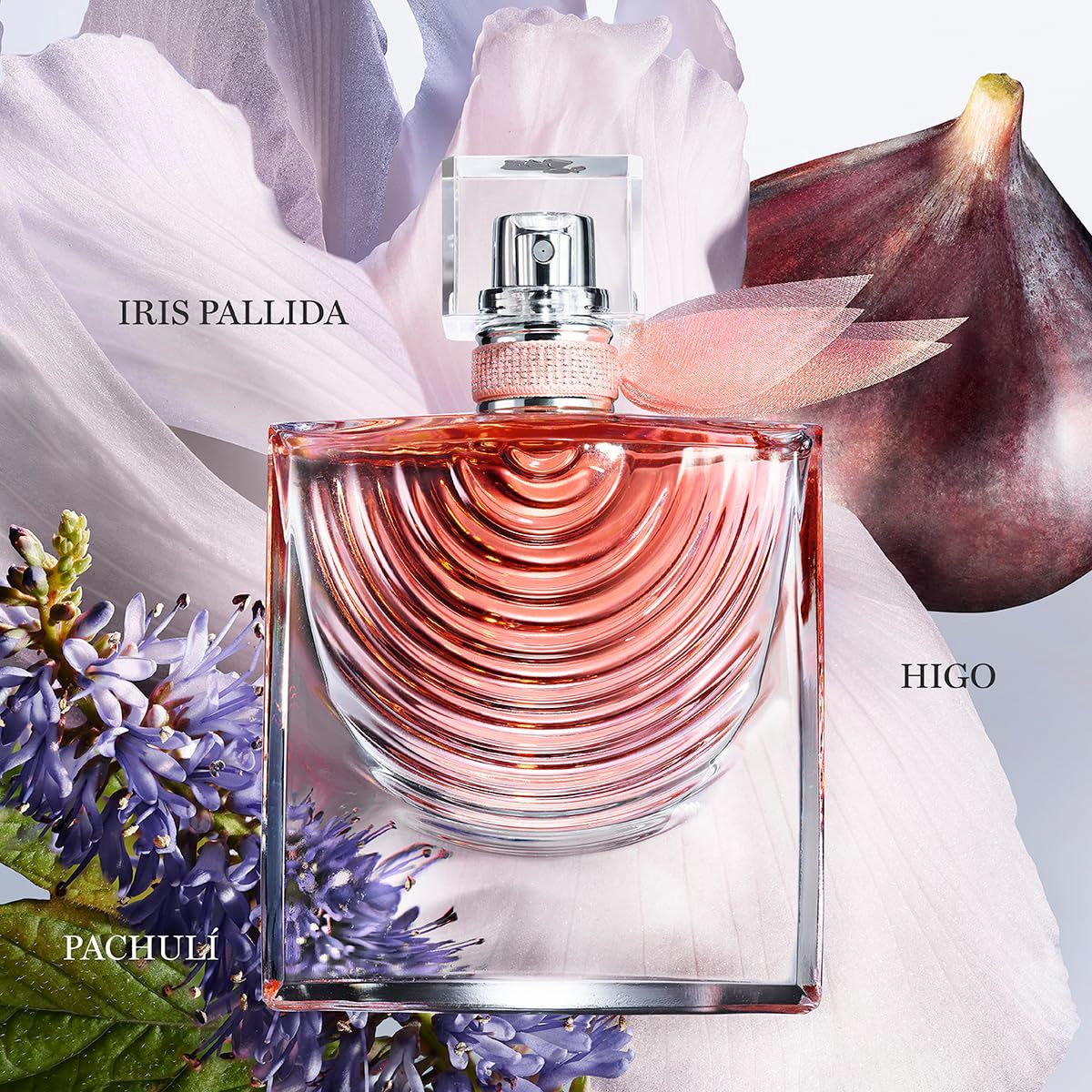 Flacone di profumo quadrato, liquido rosa, con fiocco rosa. Testo: Iris Pallida, Higo, Patchuli. Sfondo: fiori e fico.