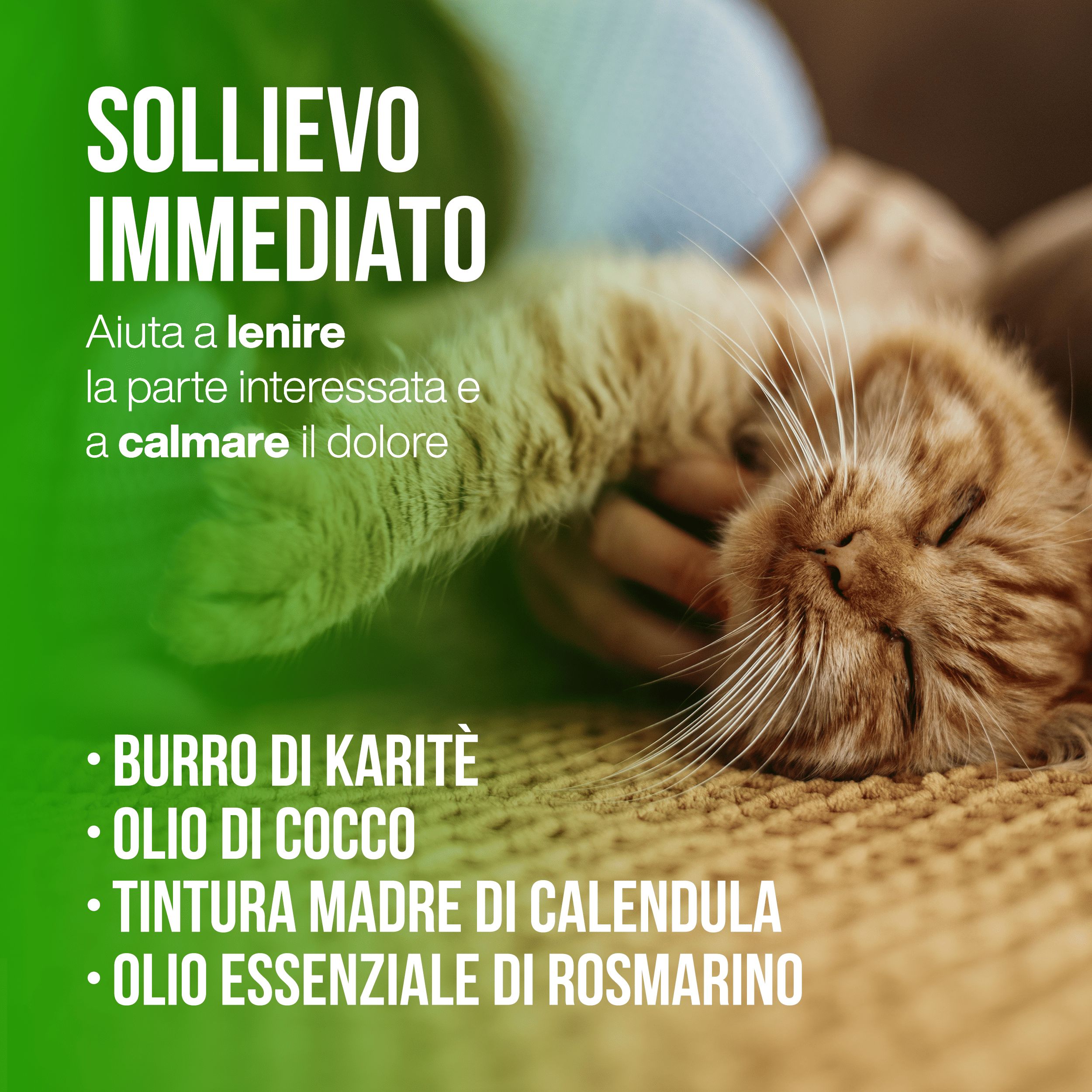Gatto sdraiato su una coperta. Testo: SOLLIEVO IMMEDIATO. Ingredienti: Burro di karité, olio di cocco, tintura madre di calendula, olio di rosmarino.