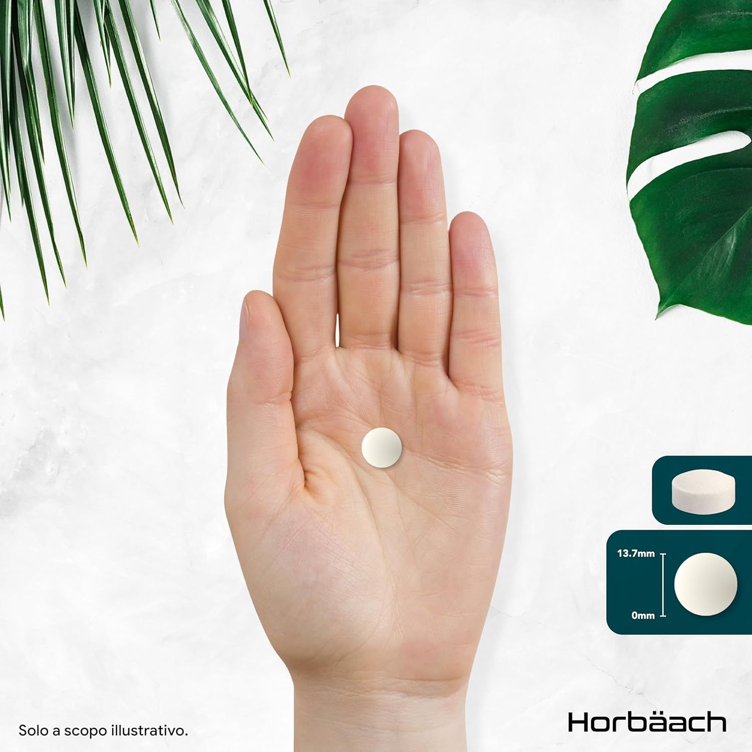 Una compressa in una mano. Compressa bianca, rotonda. Dimensioni: 13,7mm x 0mm. Italiano.