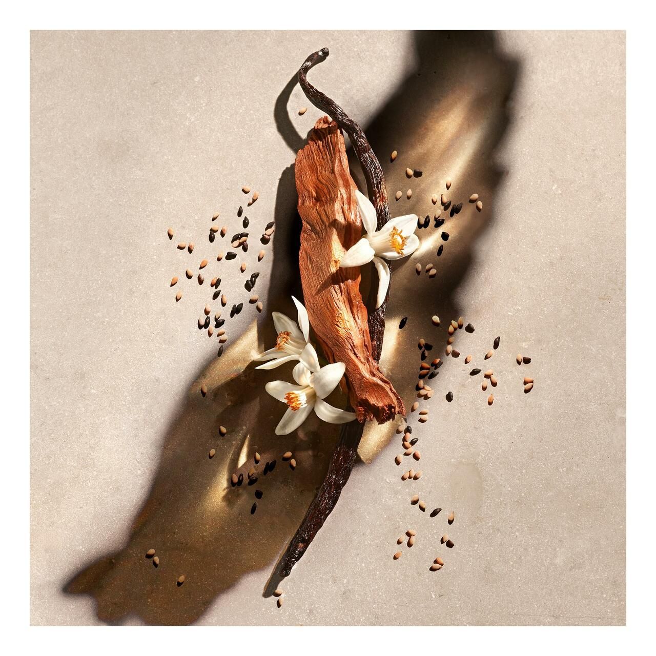 Baccello di vaniglia, fiori e semi su sfondo dorato. Primo piano, illuminazione chiara.