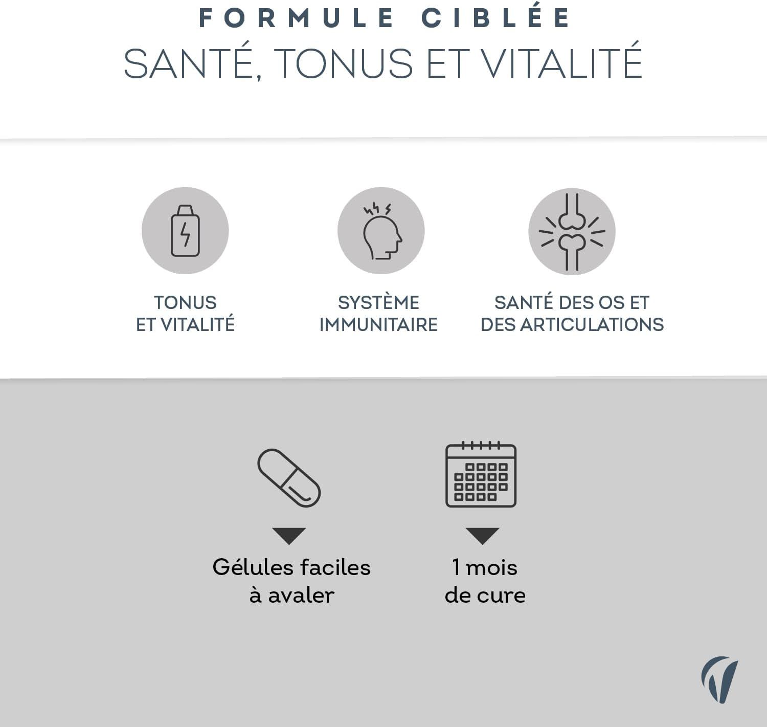 Grafica con simboli per energia, sistema immunitario e salute delle ossa. Simbolo di capsula e calendario.