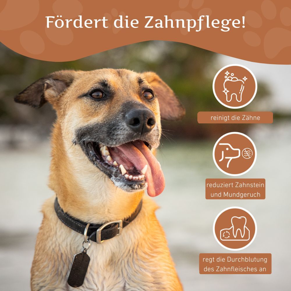 Cane con bocca aperta. Grafici: pulisce i denti, riduce il tartaro, favorisce la circolazione. Testo: Promuove l'igiene dentale!