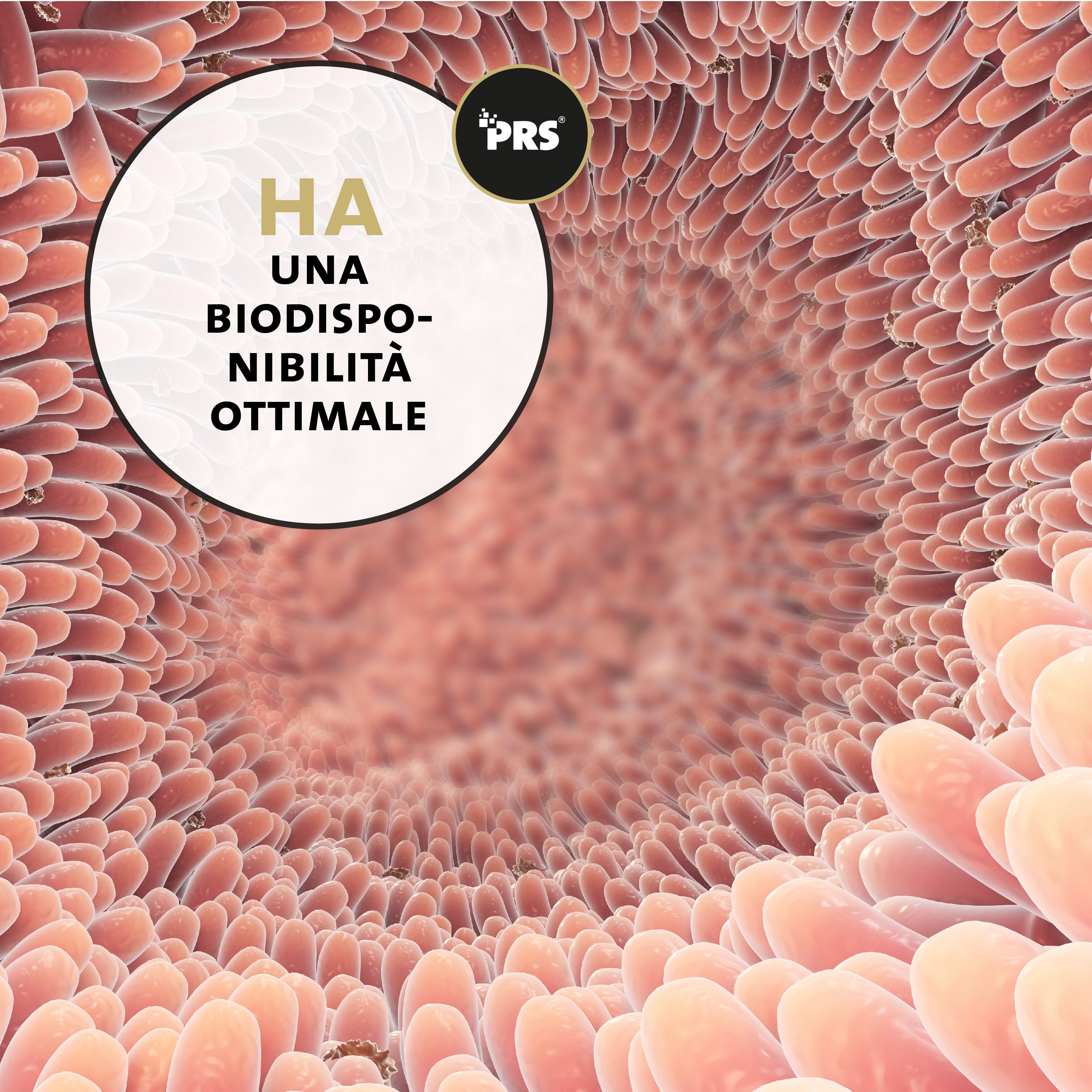 Vista intestinale. Testo: Ha un'ottima biodisponibilità. Logo PRS.