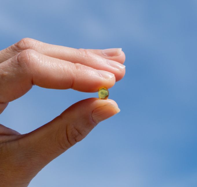 Dita che tengono una singola softgel Aavalabs Vitamina D3.