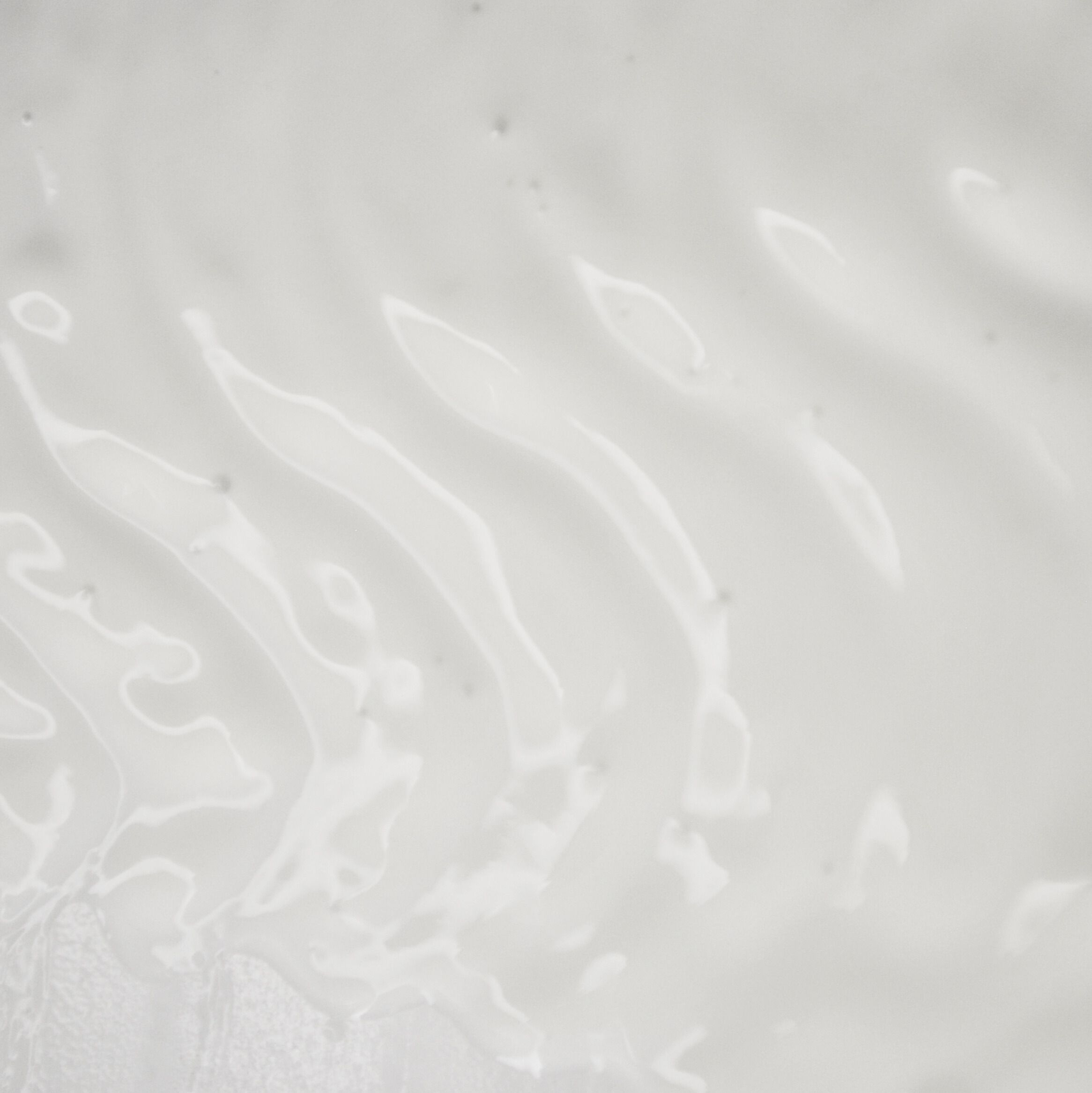 Primo piano di una crema bianca. Texture ondulata.