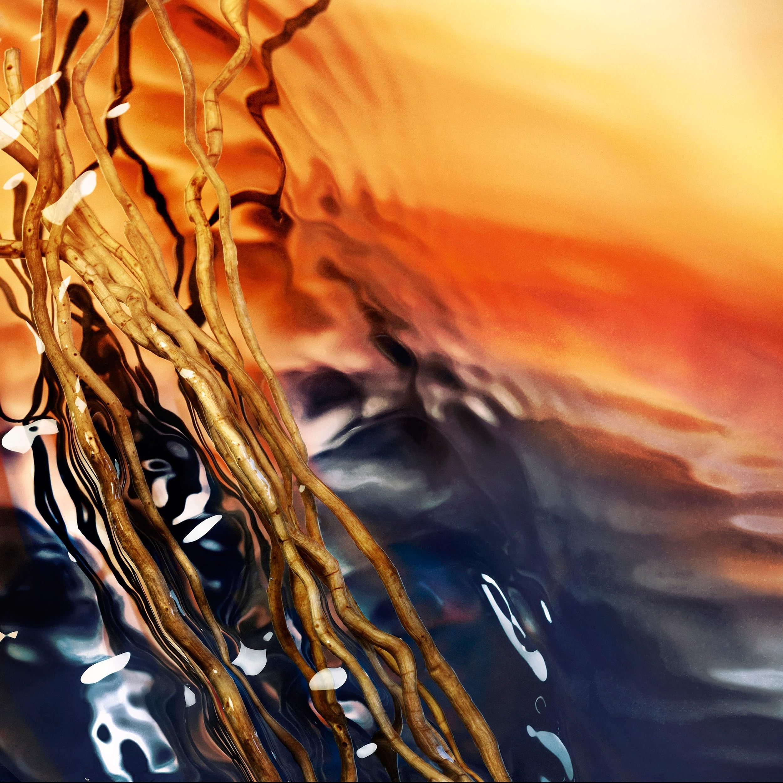 Rappresentazione astratta di radici nell'acqua. Sfumatura di colore dall'arancione al blu. Testo illeggibile.