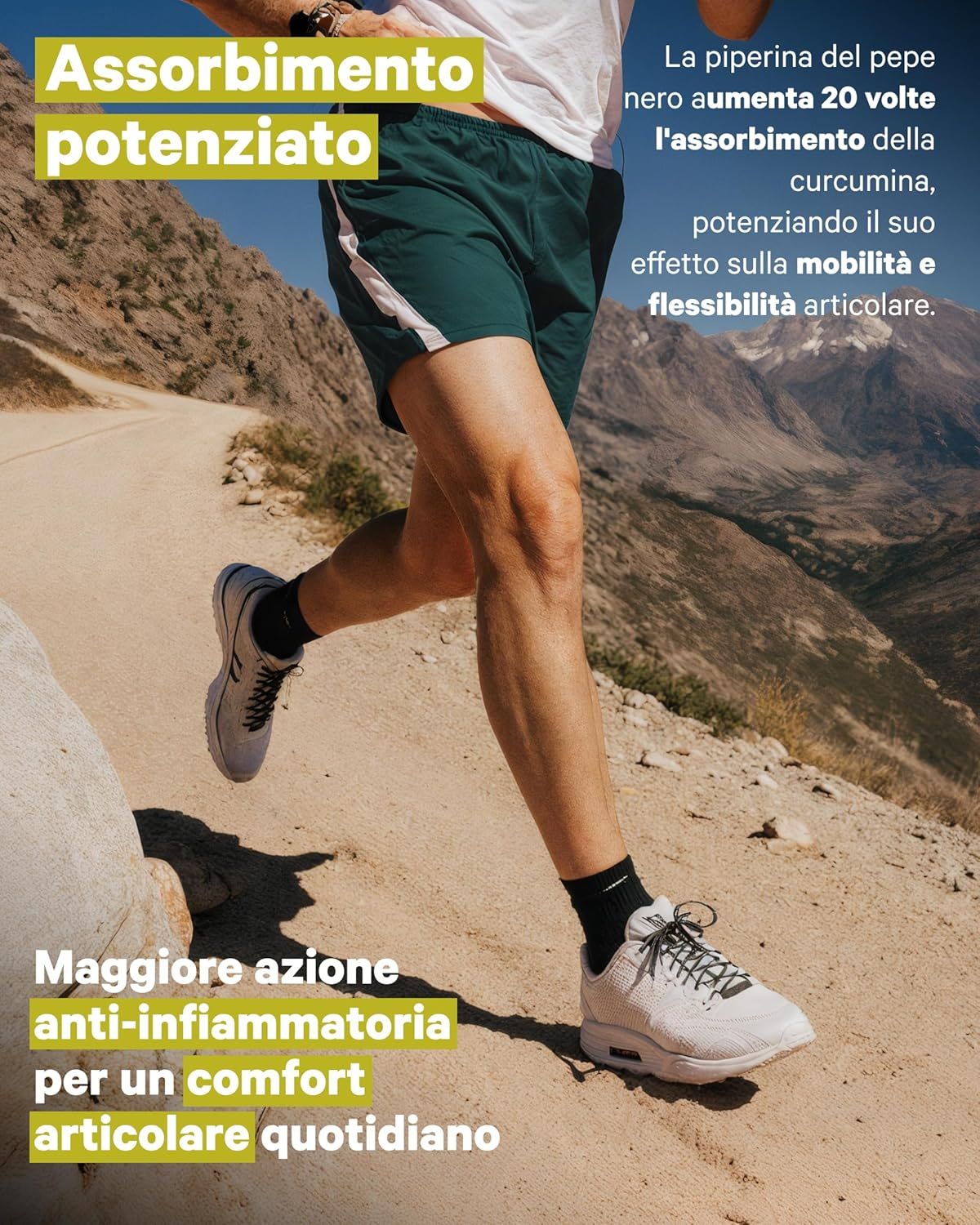 NUTRIBRAIN Curcuma Capsula