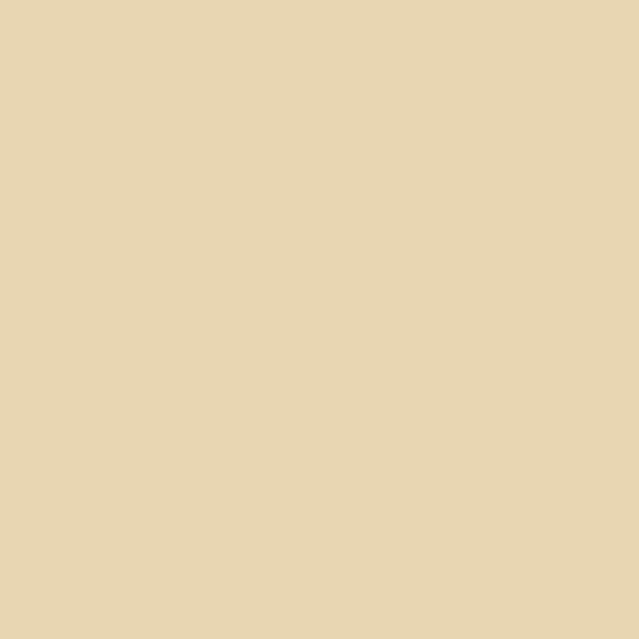 Sfondo beige unito.