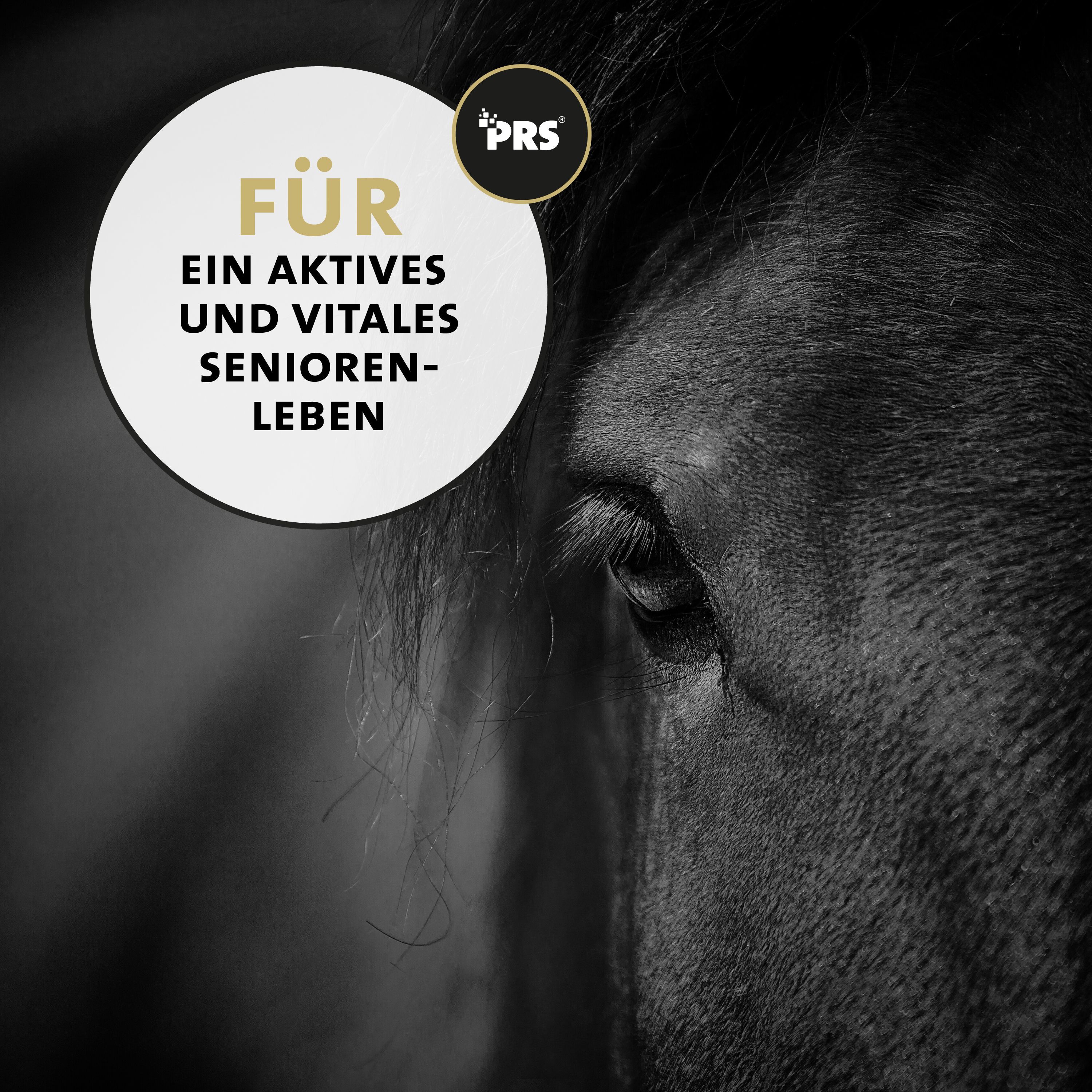 Primo piano dell'occhio di un cavallo, cerchio con testo per una vita senior attiva e vitale.