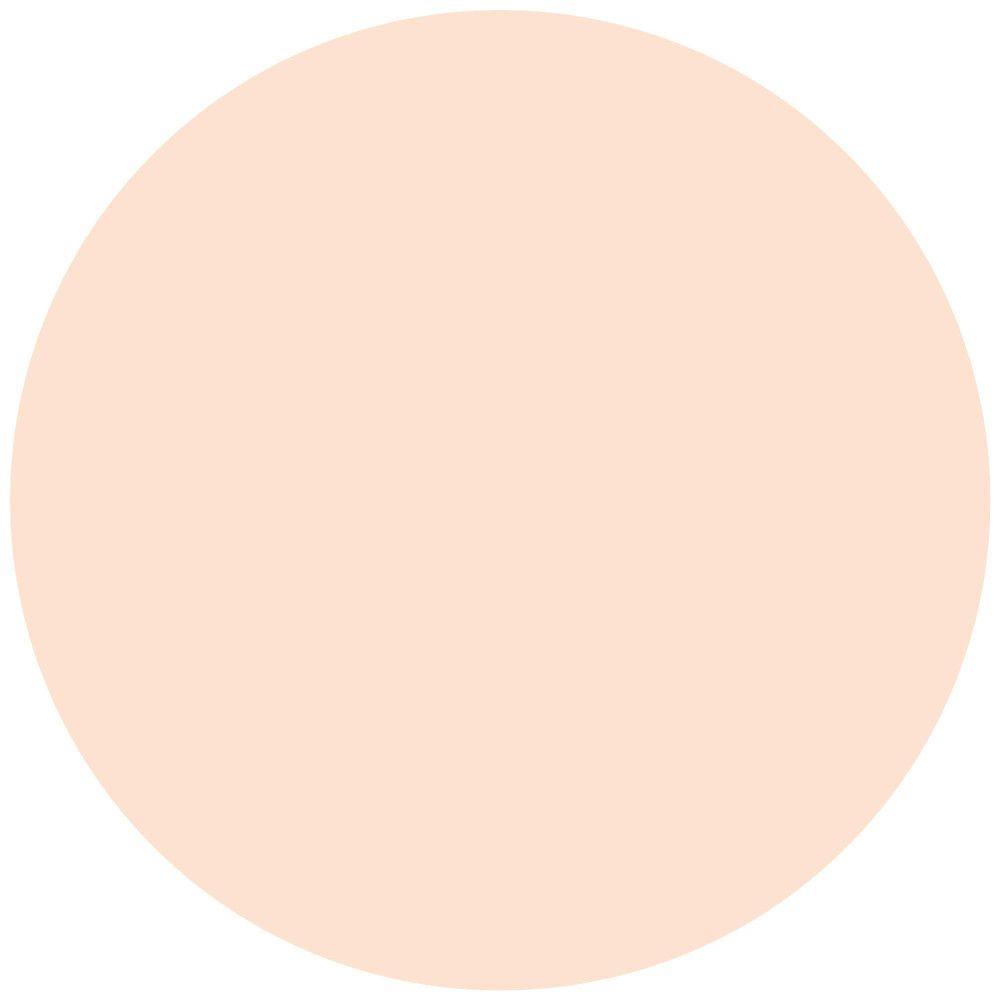 Cerchio di colore beige chiaro. Superficie liscia, senza trama o dettagli.