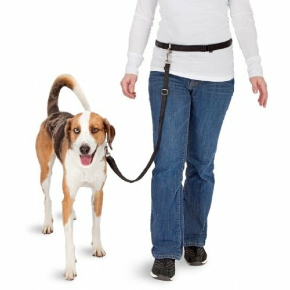 Pawise Kit bici da corsa per cani a mani libere