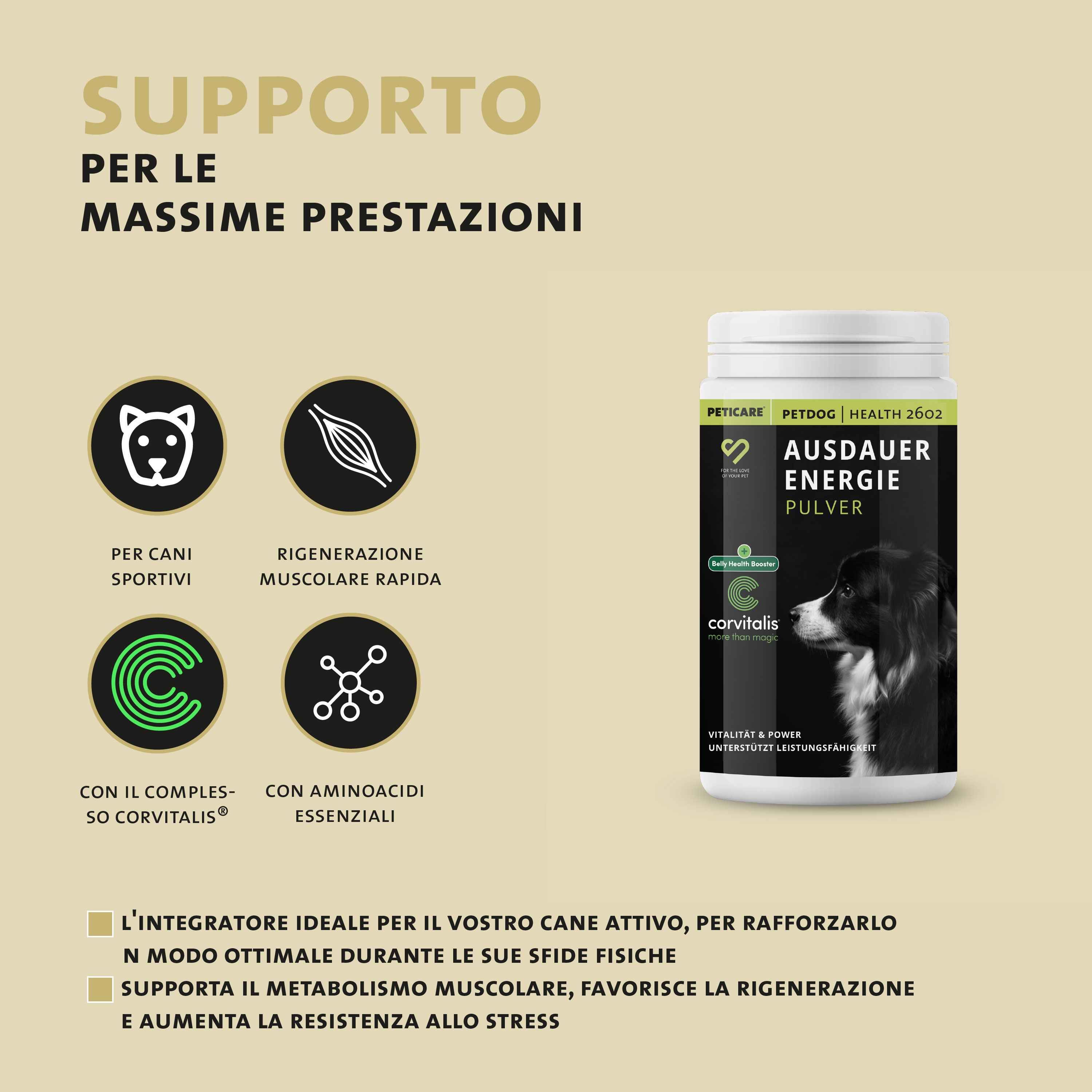 Barattolo con etichetta nera. Testo: PETICARE, PETDOG, Ausdauer Energie, polvere. Illustrazione di un cane.