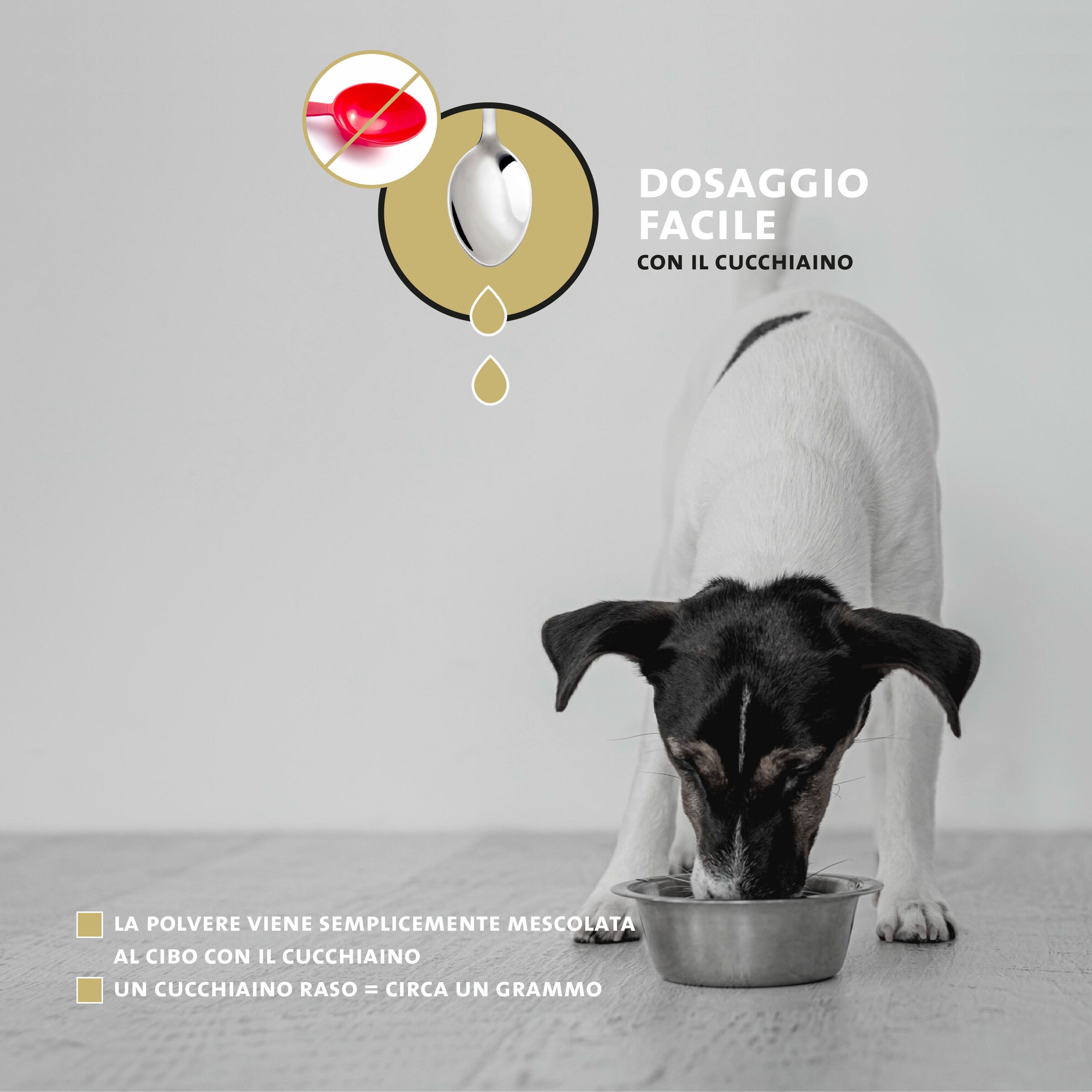 Gruppo di cani di varie razze, logo Peticare, "Per tutte le razze di cani".