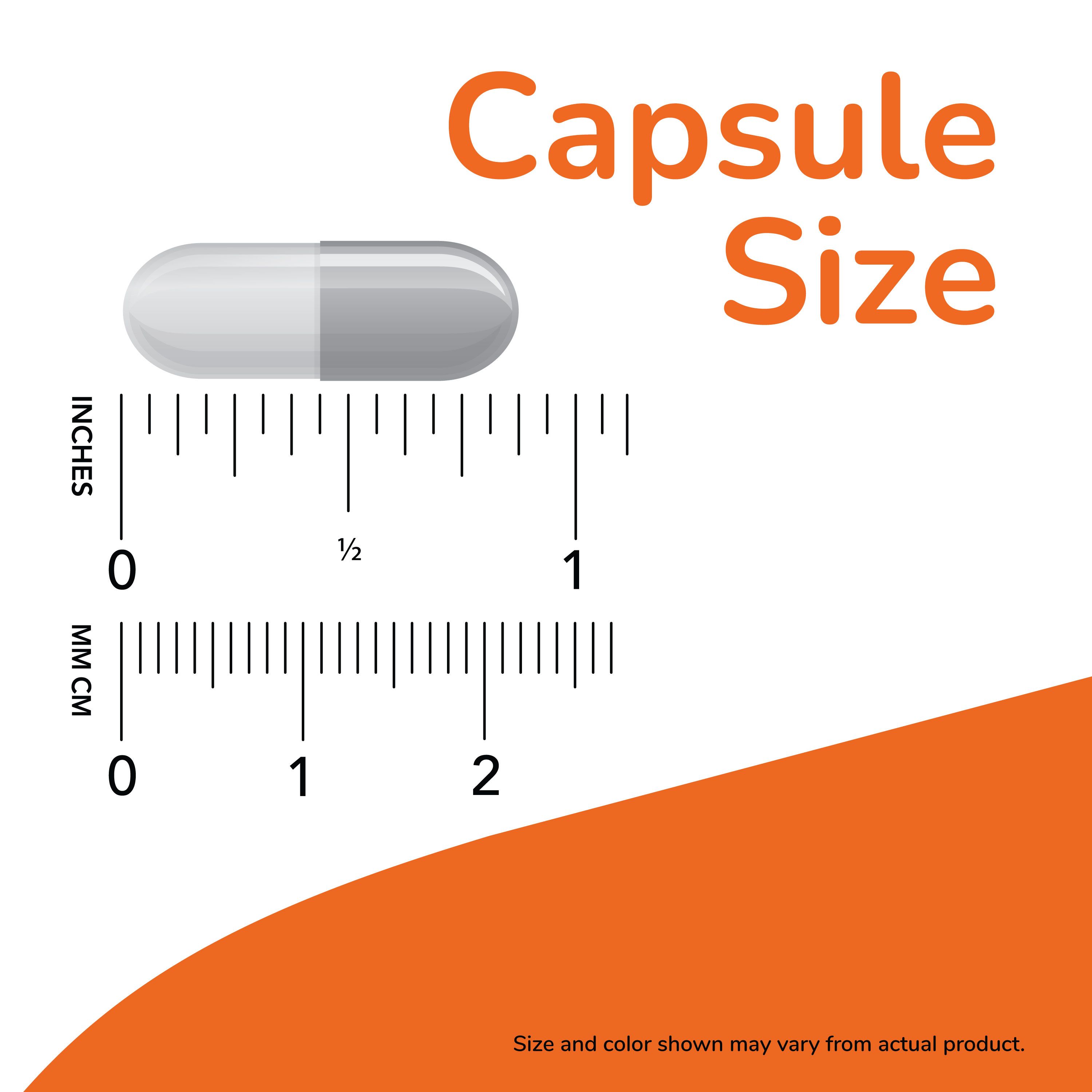 Dimensioni della capsula confrontate con righelli in pollici e centimetri.