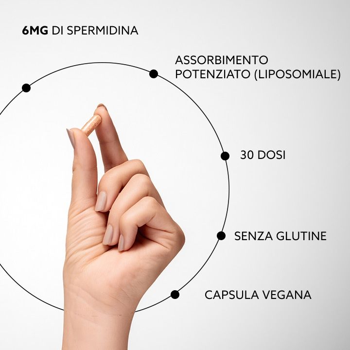 Mano che tiene una capsula. Diagramma: 6mg spermidina, assorbimento potenziato, 30 dosi, senza glutine, capsula vegana.