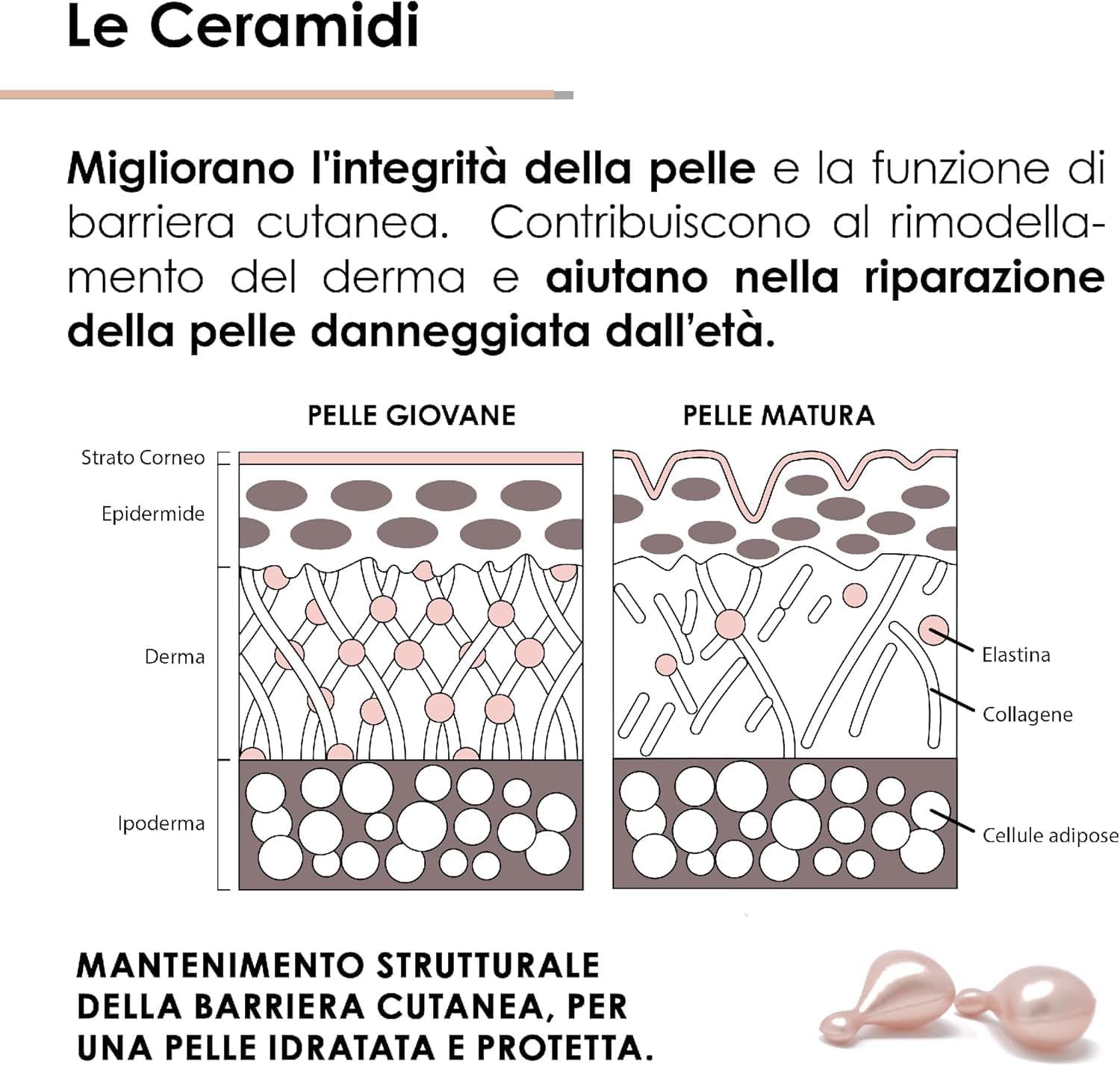 Essenze.me Ceramide Siero Viso e Contorno Occhi Antietà Ristrutturante - 60 Capsule Monodose