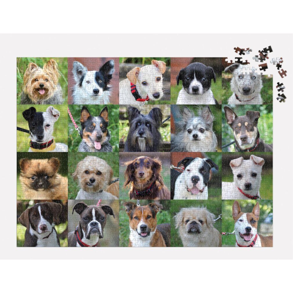 galison Puzzle Rescue Dogs 1000 pezzi
