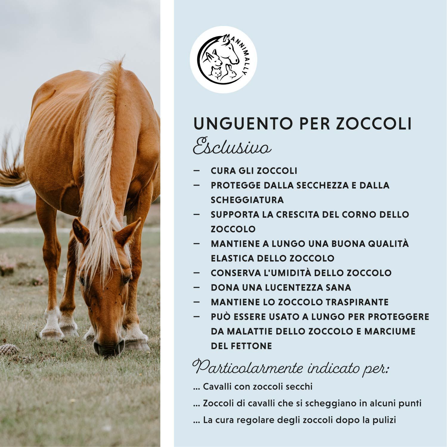 Cavallo in un prato. Testo: Unguento per zoccoli Exklusiv. Elenco dei vantaggi. Adatto a cavalli con zoccoli secchi e altro.