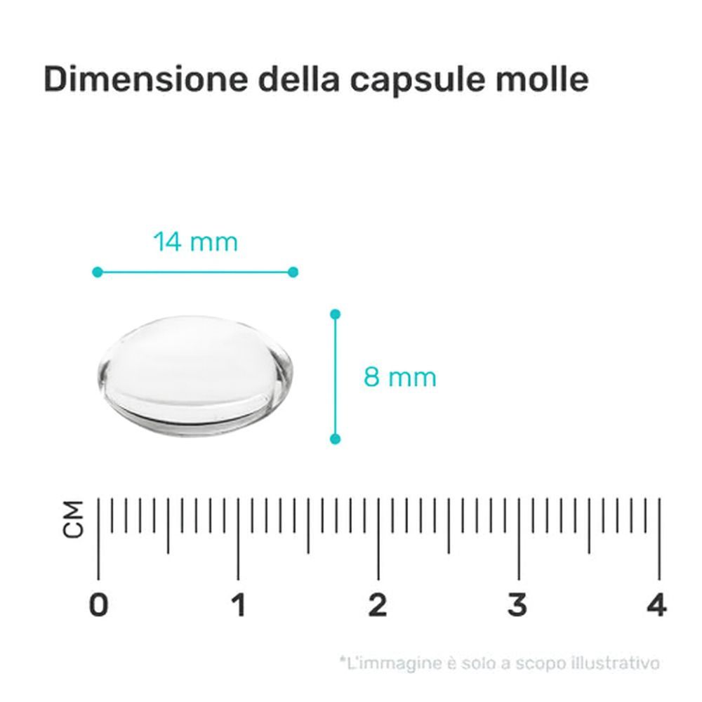 Capsula molle con dimensioni: 14 mm x 8 mm. Scala in cm.