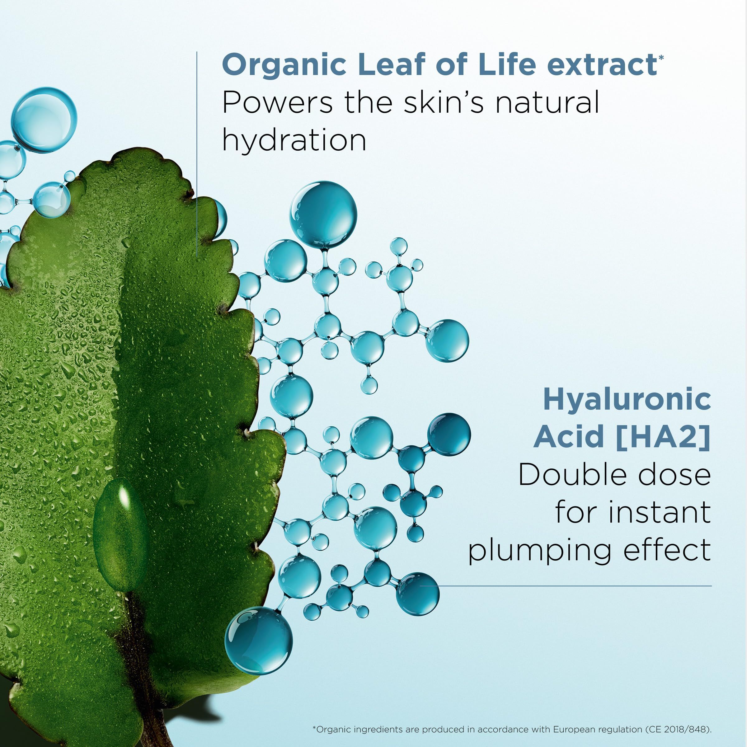 Foglia verde con gocce d'acqua e struttura molecolare. Testo: Organic Leaf of Life extract, Acido Ialuronico [HA2].