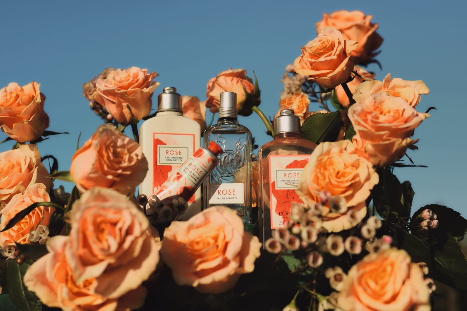 Vari prodotti L'Occitane circondati da rose. Visibile un tubetto di crema mani.