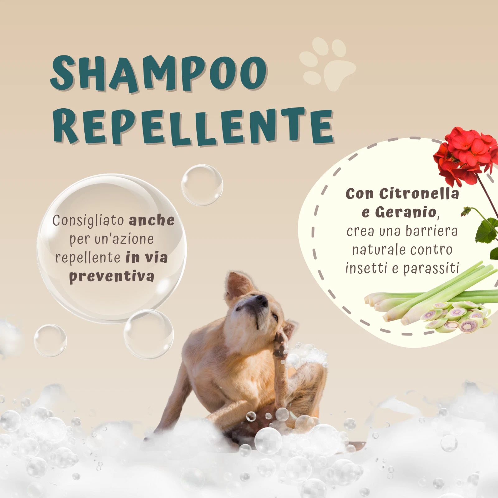 Illustrazione con cane, bolle di sapone e piante. Testo: Shampoo repellente. Con citronella e geranio, barriera contro gli insetti.