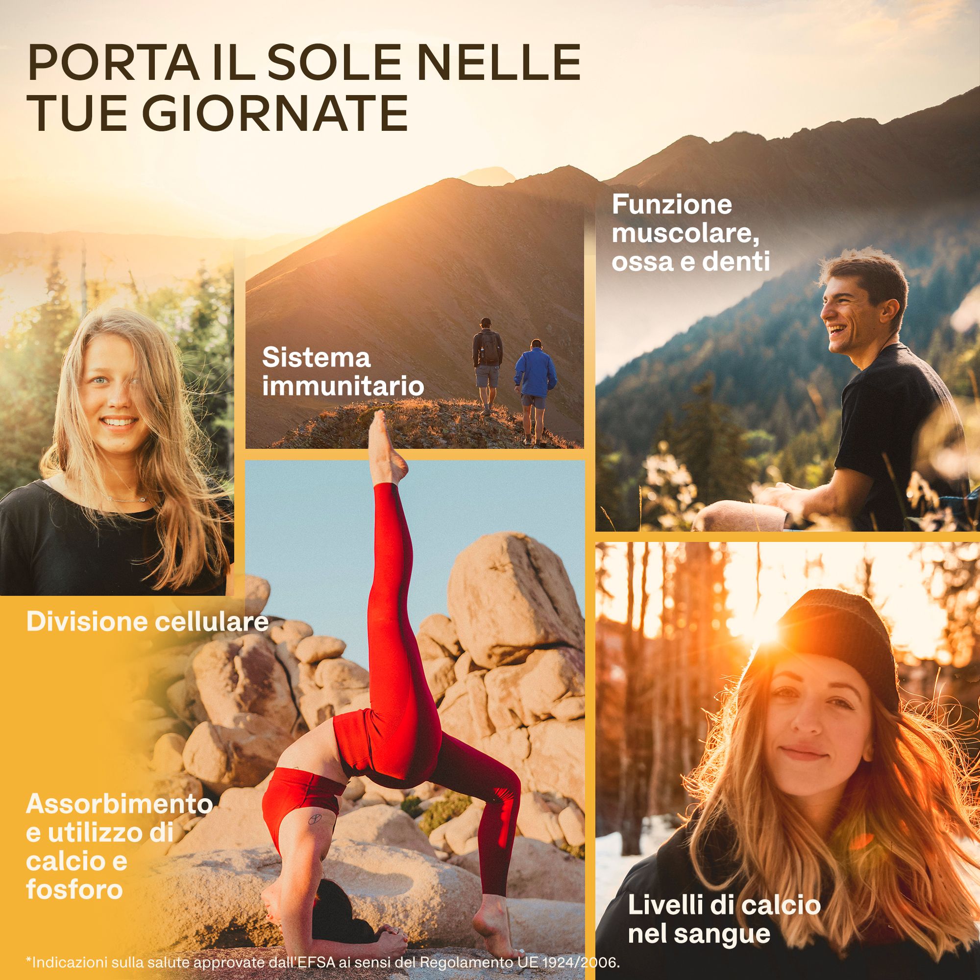 Collage con persone e testo sul sole, sistema immunitario, ossa.