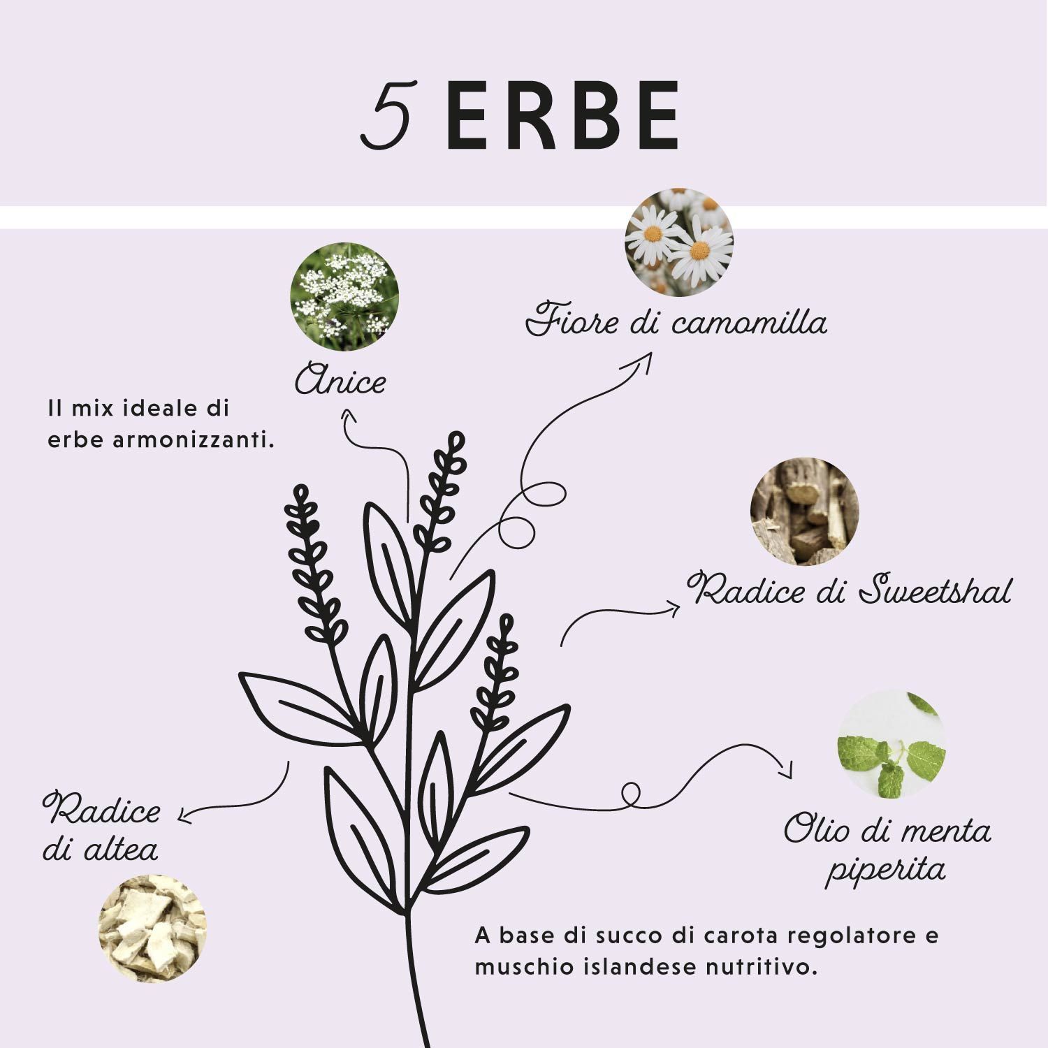 Illustrazione di 5 erbe. Testo: Il mix ideale di erbe armonizzanti.