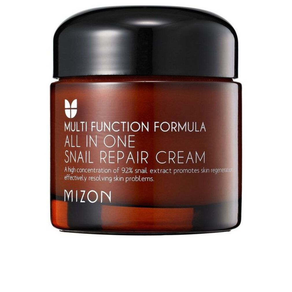 Vaso di crema marrone con coperchio nero. Scritta: Multi Function Formula All In One Snail Repair Cream. Marchio: MIZON.